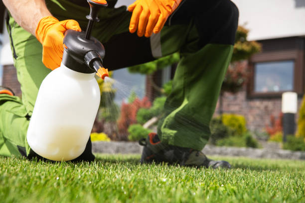 Best Pest Removal Services  in Hurricane, UT