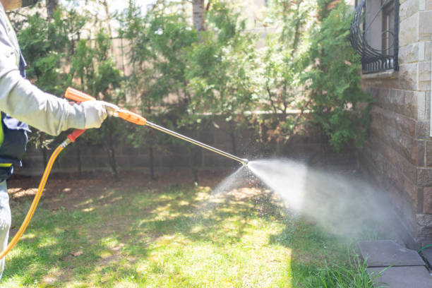Best Wasp Removal Services  in Hurricane, UT